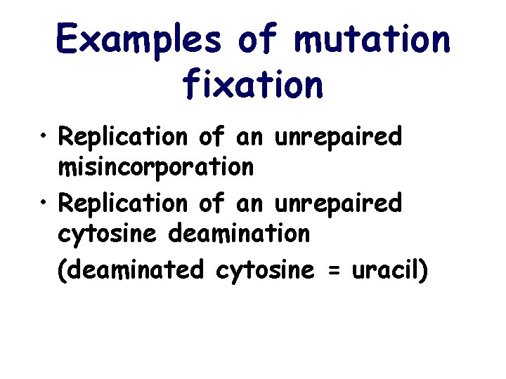 Examples of mutation fixation • Replication of an unrepaired misincorporation • Replication of an