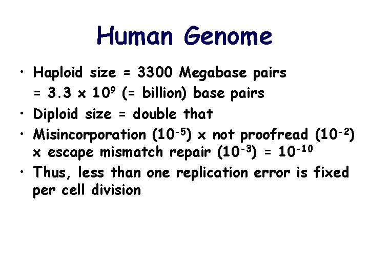 Human Genome • Haploid size = 3300 Megabase pairs = 3. 3 x 109