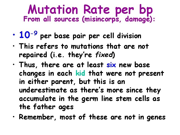 Mutation Rate per bp From all sources (misincorps, damage): • 10 -9 per base