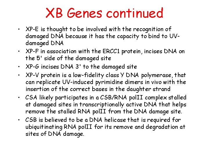 XB Genes continued • XP-E is thought to be involved with the recognition of