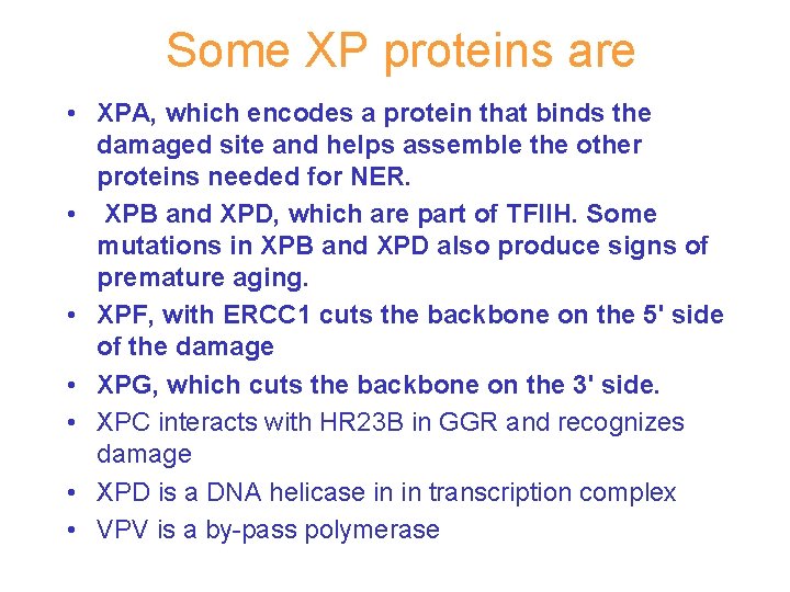 Some XP proteins are • XPA, which encodes a protein that binds the damaged
