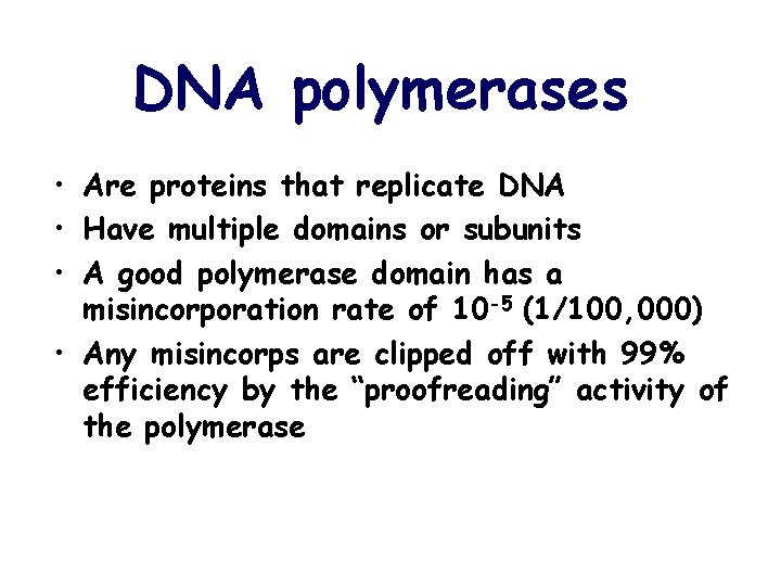 DNA polymerases • Are proteins that replicate DNA • Have multiple domains or subunits