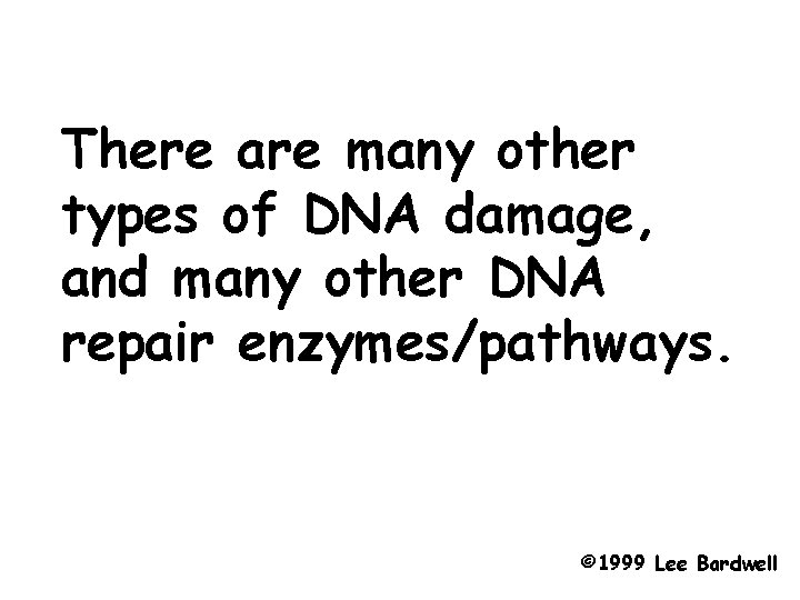 There are many other types of DNA damage, and many other DNA repair enzymes/pathways.