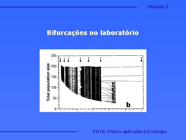 Módulo I Bifurcações no laboratório b F 016: Física aplicada à Ecologia Módulo I Bifurcações no laboratório b F 016: Física aplicada à Ecologia
