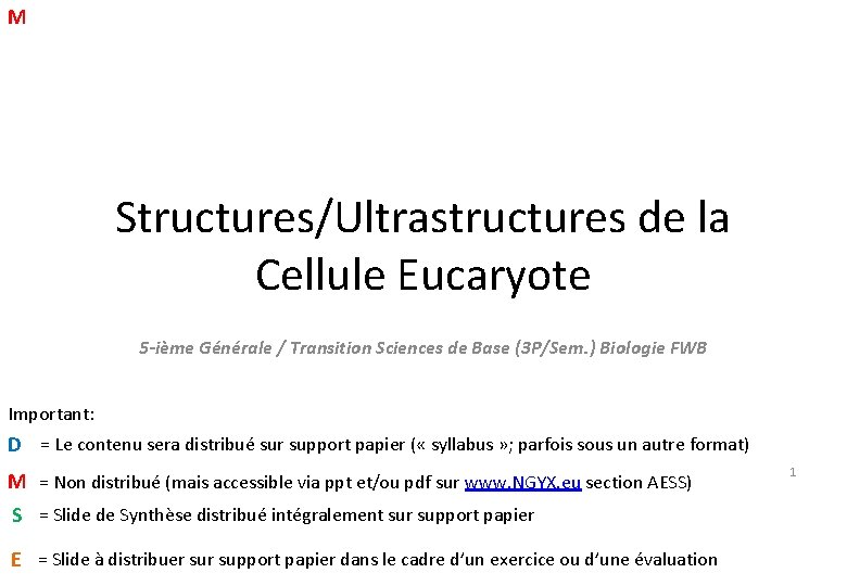 M Structures/Ultrastructures de la Cellule Eucaryote 5 -ième Générale / Transition Sciences de Base