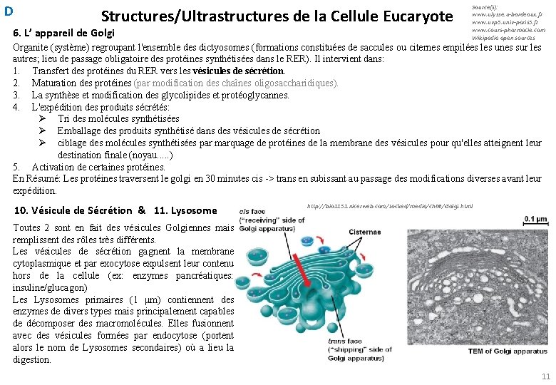 D Structures/Ultrastructures de la Cellule Eucaryote 6. L’ appareil de Golgi Source(s): www. ulysse.