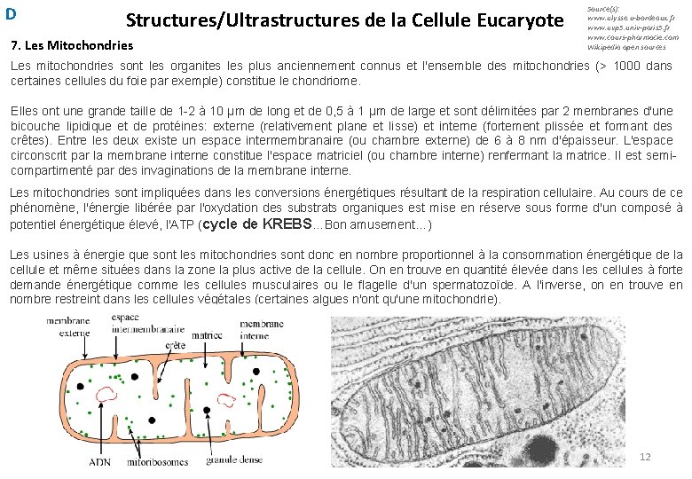 D Structures/Ultrastructures de la Cellule Eucaryote 7. Les Mitochondries Source(s): www. ulysse. u-bordeaux. fr