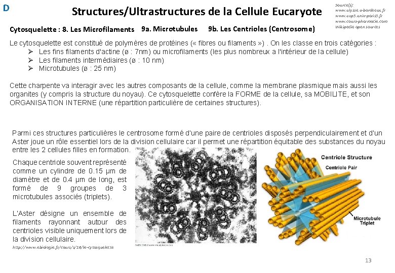 D Structures/Ultrastructures de la Cellule Eucaryote Cytosquelette : 8. Les Microfilaments 9 a. Microtubules