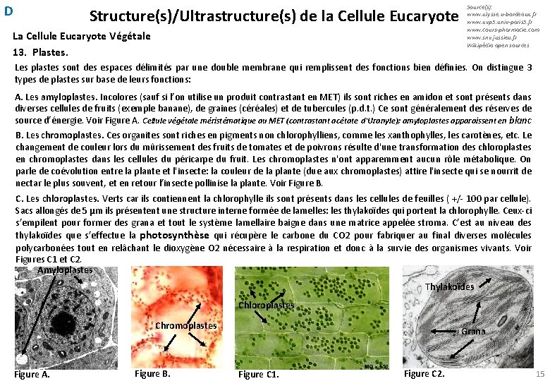 D Structure(s)/Ultrastructure(s) de la Cellule Eucaryote La Cellule Eucaryote Végétale 13. Plastes. Source(s): www.