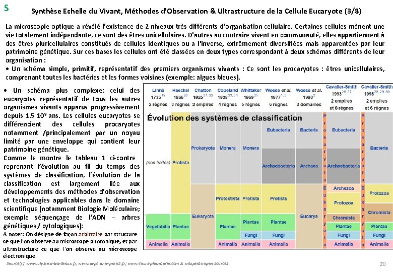 S Synthèse Echelle du Vivant, Méthodes d’Observation & Ultrastructure de la Cellule Eucaryote (3/8)
