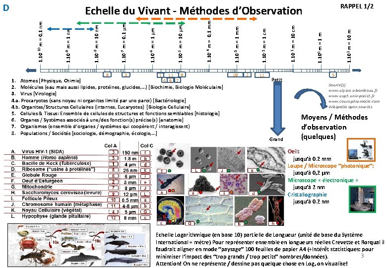 D RAPPEL 1/2 8 3 1 11 9 4 6 7 1. Atomes [Physique,