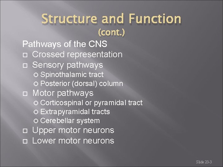 Structure and Function (cont. ) Pathways of the CNS Crossed representation Sensory pathways Spinothalamic Structure and Function (cont. ) Pathways of the CNS Crossed representation Sensory pathways Spinothalamic