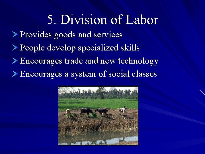 5. Division of Labor Provides goods and services People develop specialized skills Encourages trade