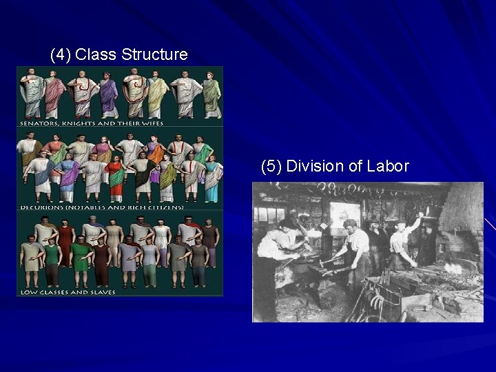 (4) Class Structure (5) Division of Labor 