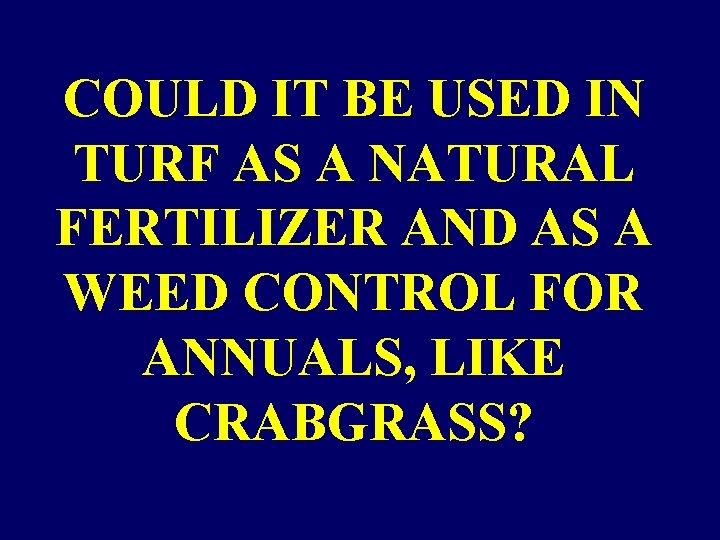 COULD IT BE USED IN TURF AS A NATURAL FERTILIZER AND AS A WEED COULD IT BE USED IN TURF AS A NATURAL FERTILIZER AND AS A WEED