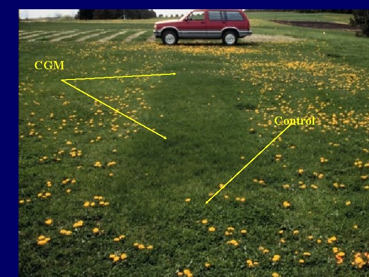 CGM Control CGM Control