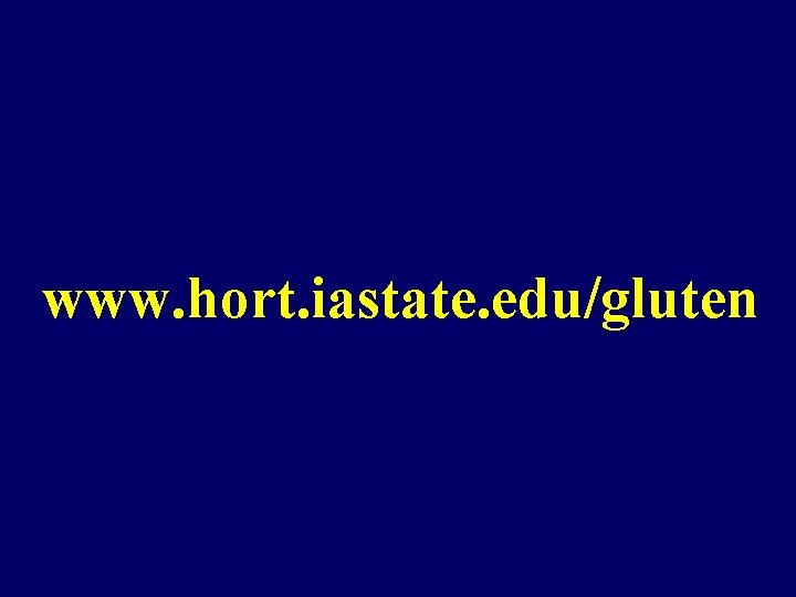 www. hort. iastate. edu/gluten www. hort. iastate. edu/gluten
