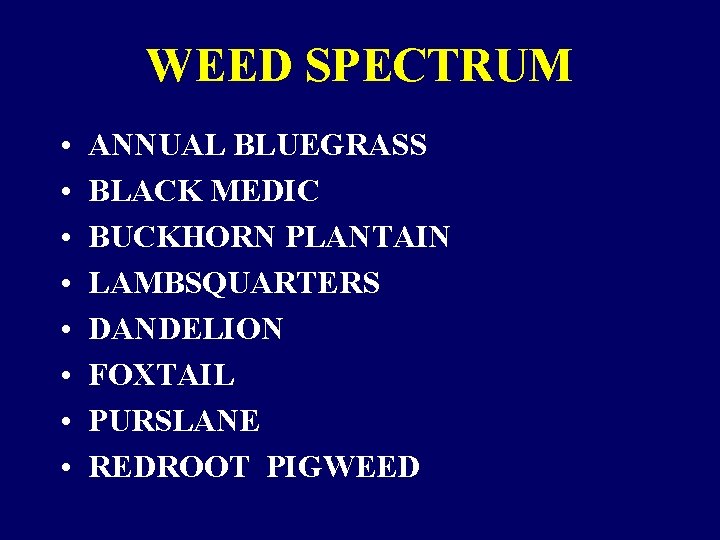 WEED SPECTRUM • • ANNUAL BLUEGRASS BLACK MEDIC BUCKHORN PLANTAIN LAMBSQUARTERS DANDELION FOXTAIL PURSLANE WEED SPECTRUM • • ANNUAL BLUEGRASS BLACK MEDIC BUCKHORN PLANTAIN LAMBSQUARTERS DANDELION FOXTAIL PURSLANE