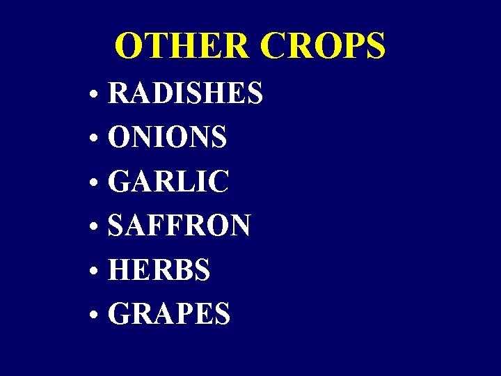 OTHER CROPS • RADISHES • ONIONS • GARLIC • SAFFRON • HERBS • GRAPES OTHER CROPS • RADISHES • ONIONS • GARLIC • SAFFRON • HERBS • GRAPES
