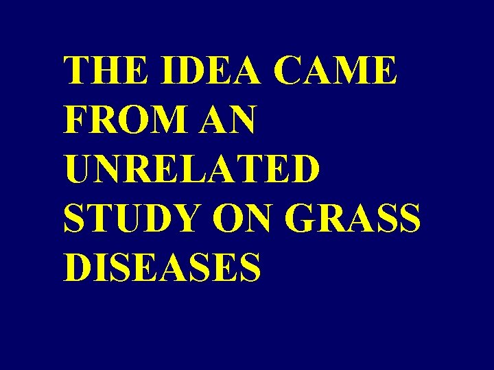 THE IDEA CAME FROM AN UNRELATED STUDY ON GRASS DISEASES THE IDEA CAME FROM AN UNRELATED STUDY ON GRASS DISEASES