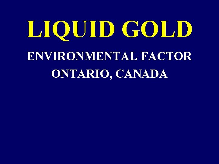 LIQUID GOLD ENVIRONMENTAL FACTOR ONTARIO, CANADA LIQUID GOLD ENVIRONMENTAL FACTOR ONTARIO, CANADA
