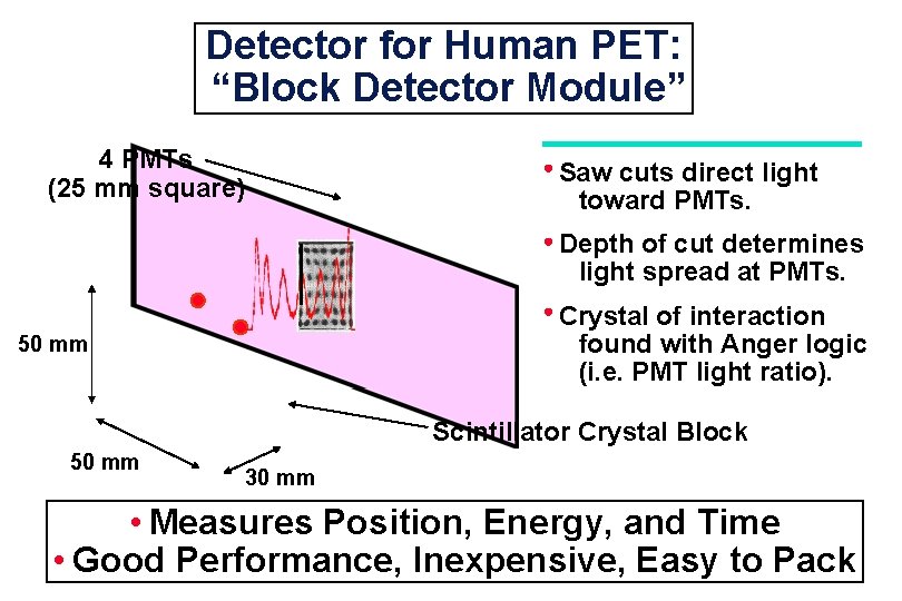 Detector for Human PET: “Block Detector Module” 4 PMTs (25 mm square) Saw cuts