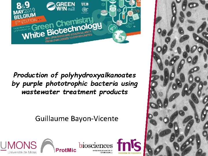 Production of polyhydroxyalkanoates by purple phototrophic bacteria using wastewater treatment products Guillaume Bayon-Vicente 