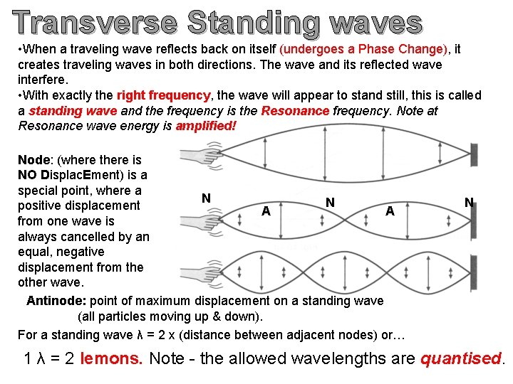 Transverse Standing waves • When a traveling wave reflects back on itself (undergoes a