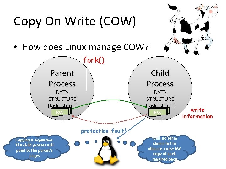 Copy On Write (COW) • How does Linux manage COW? fork() Parent Process Child