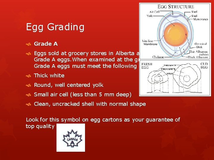 Egg Grading Grade A Eggs sold at grocery stores in Alberta are primarily Grade Egg Grading Grade A Eggs sold at grocery stores in Alberta are primarily Grade
