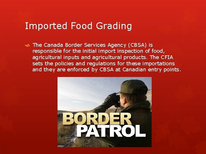 Imported Food Grading The Canada Border Services Agency (CBSA) is responsible for the initial Imported Food Grading The Canada Border Services Agency (CBSA) is responsible for the initial