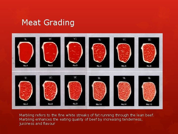 Meat Grading Marbling refers to the fine white streaks of fat running through the Meat Grading Marbling refers to the fine white streaks of fat running through the