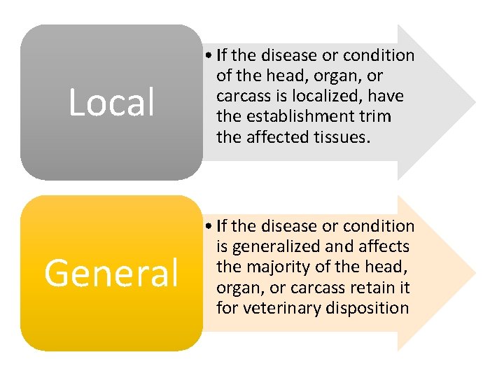 Local • If the disease or condition of the head, organ, or carcass is
