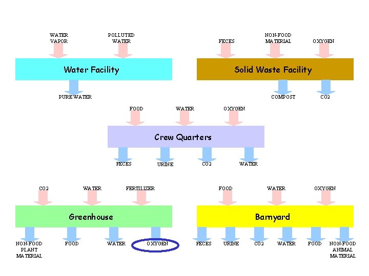 WATER VAPOR POLLUTED WATER NON-FOOD MATERIAL FECES Water Facility OXYGEN Solid Waste Facility PURE