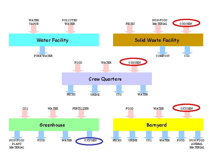 WATER VAPOR POLLUTED WATER NON-FOOD MATERIAL FECES Water Facility OXYGEN Solid Waste Facility PURE