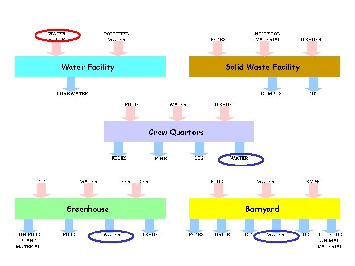 WATER VAPOR POLLUTED WATER NON-FOOD MATERIAL FECES Water Facility OXYGEN Solid Waste Facility PURE