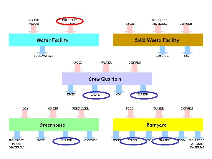 WATER VAPOR POLLUTED WATER NON-FOOD MATERIAL FECES Water Facility OXYGEN Solid Waste Facility PURE