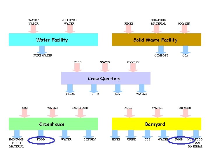 WATER VAPOR POLLUTED WATER NON-FOOD MATERIAL FECES Water Facility OXYGEN Solid Waste Facility PURE