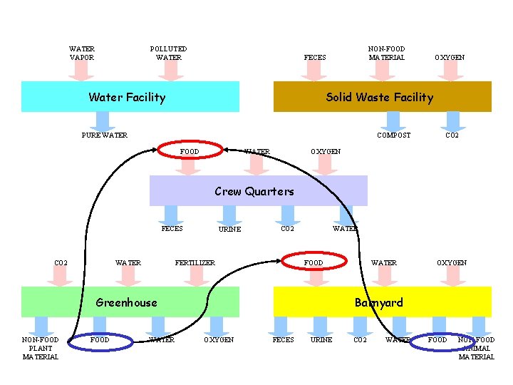 WATER VAPOR POLLUTED WATER NON-FOOD MATERIAL FECES Water Facility OXYGEN Solid Waste Facility PURE