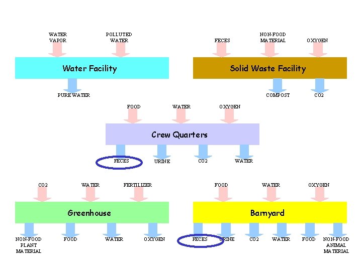 WATER VAPOR POLLUTED WATER NON-FOOD MATERIAL FECES Water Facility OXYGEN Solid Waste Facility PURE