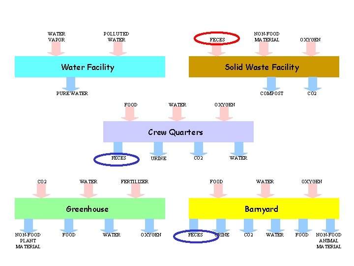 WATER VAPOR POLLUTED WATER NON-FOOD MATERIAL FECES Water Facility OXYGEN Solid Waste Facility PURE