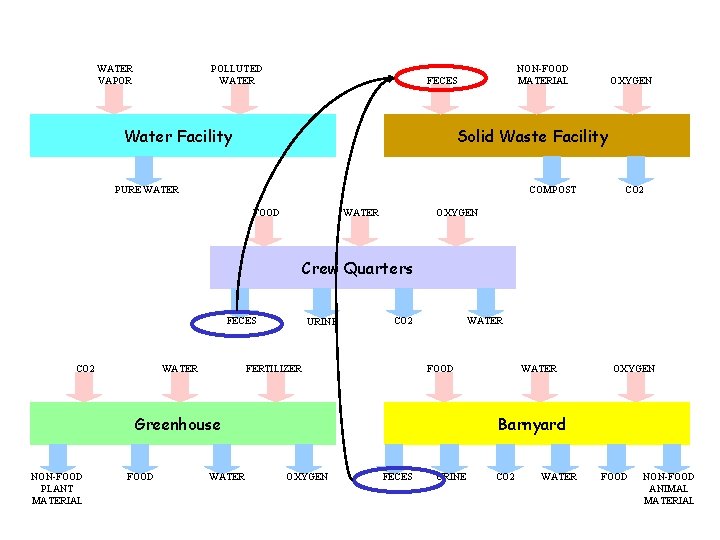 WATER VAPOR POLLUTED WATER NON-FOOD MATERIAL FECES Water Facility OXYGEN Solid Waste Facility PURE