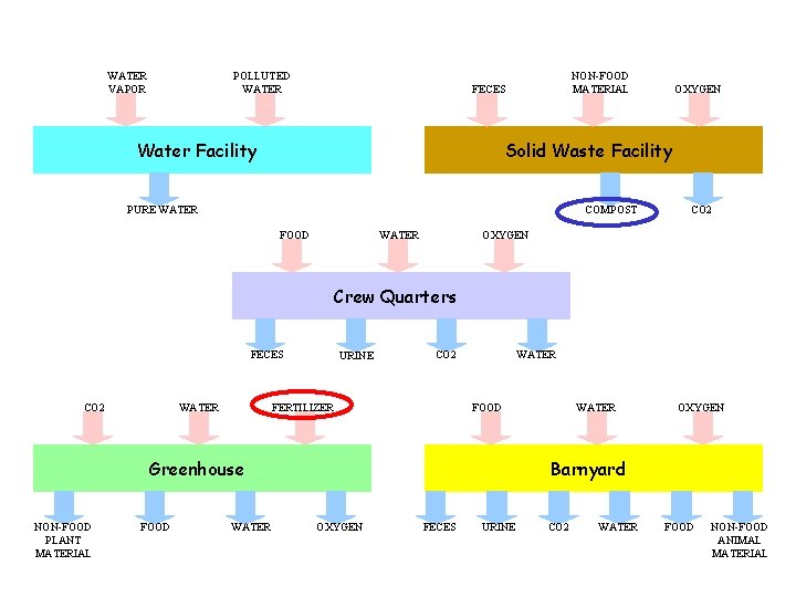 WATER VAPOR POLLUTED WATER NON-FOOD MATERIAL FECES Water Facility OXYGEN Solid Waste Facility PURE