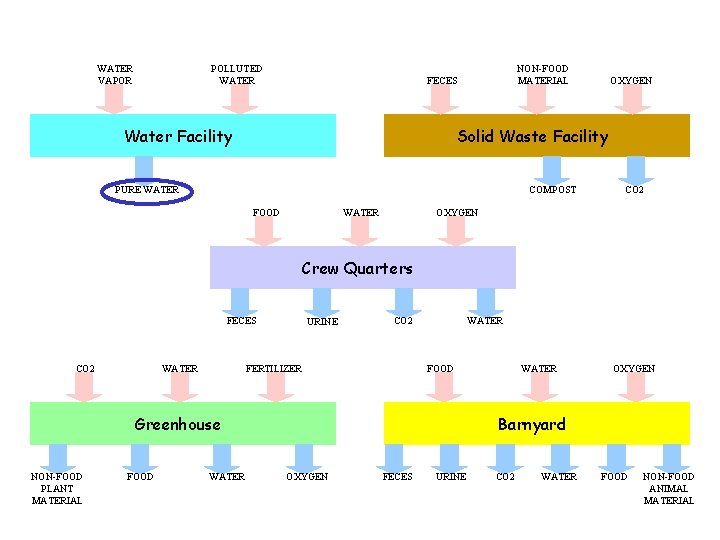 WATER VAPOR POLLUTED WATER NON-FOOD MATERIAL FECES Water Facility OXYGEN Solid Waste Facility PURE