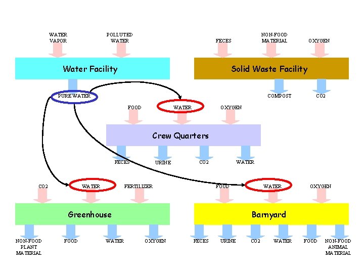 WATER VAPOR POLLUTED WATER NON-FOOD MATERIAL FECES Water Facility OXYGEN Solid Waste Facility PURE