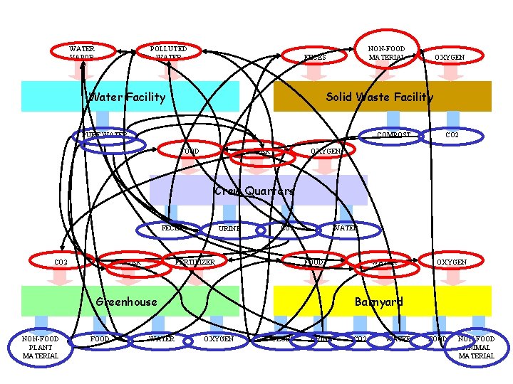 WATER VAPOR POLLUTED WATER NON-FOOD MATERIAL FECES Water Facility OXYGEN Solid Waste Facility PURE