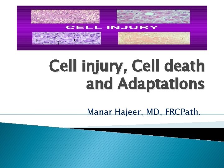Cell injury, Cell death and Adaptations Manar Hajeer, MD, FRCPath. Cell injury, Cell death and Adaptations Manar Hajeer, MD, FRCPath.