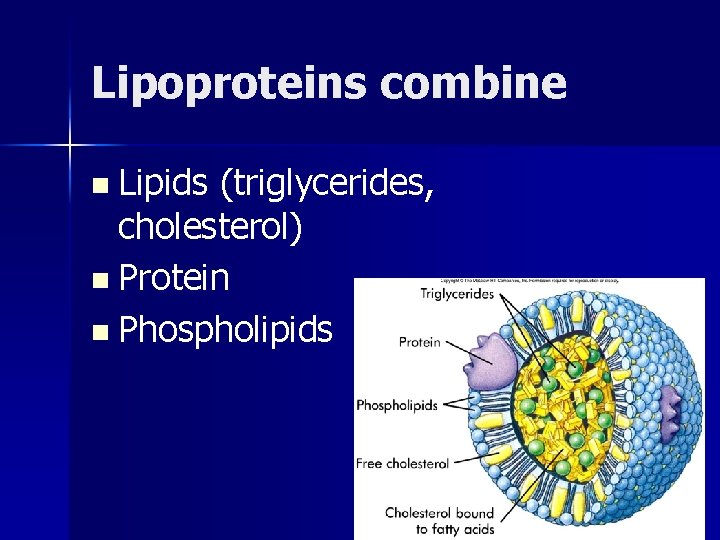 Lipoproteins combine n Lipids (triglycerides, cholesterol) n Protein n Phospholipids 