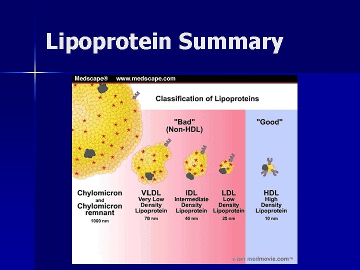 Lipoprotein Summary 