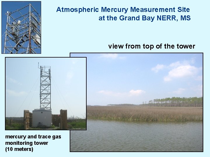 Atmospheric Mercury Measurement Site at the Grand Bay NERR, MS view from top of